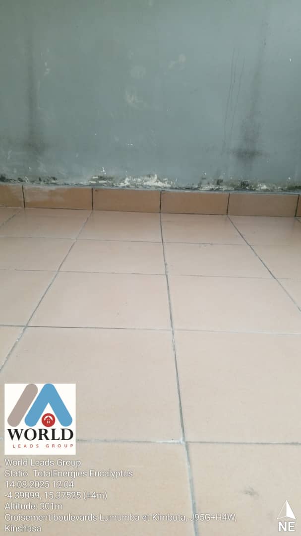 Après les travaux - Station-service Euchalyptus - Travaux de carrelage